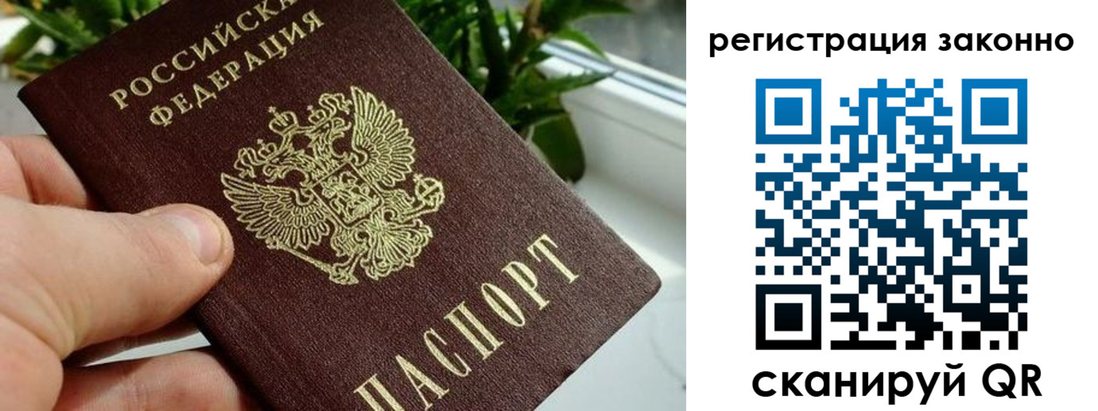 прописка гарантия в Санкт-Петербурге